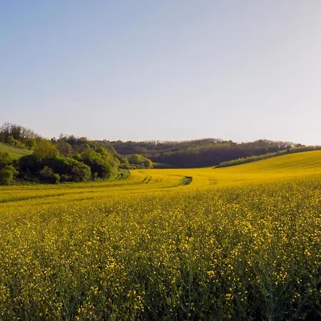 Heroke Vendeghaz Penzion 3*